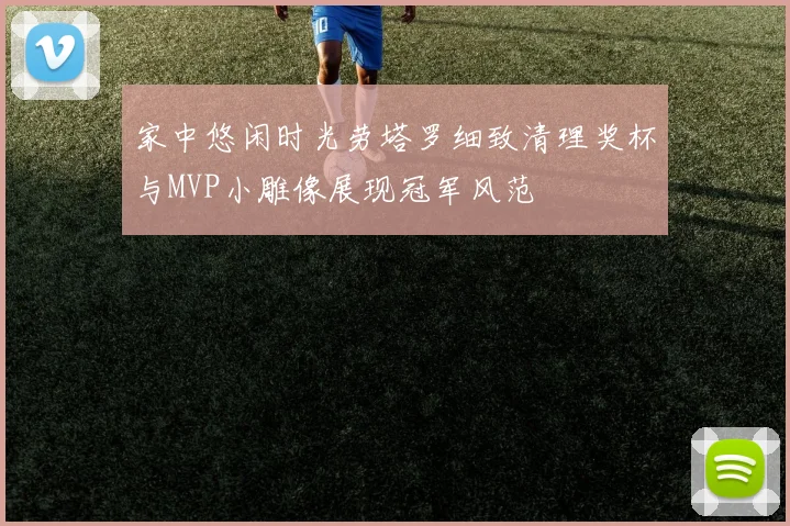 家中悠闲时光劳塔罗细致清理奖杯与MVP小雕像展现冠军风范