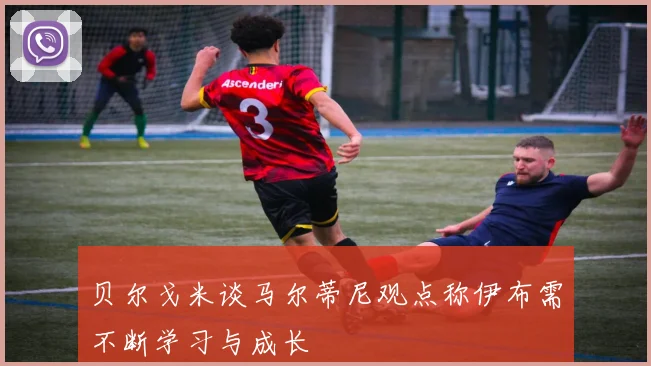 贝尔戈米谈马尔蒂尼观点称伊布需不断学习与成长