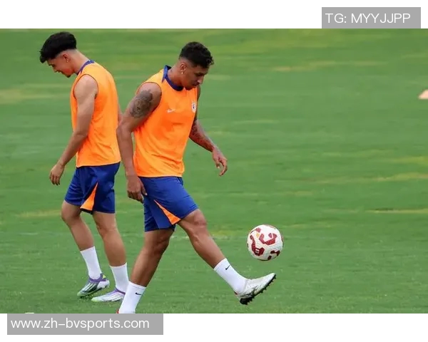 泰山队明星球员泽卡马德鲁加彭啸齐鲁超决赛现场与球迷亲密互动