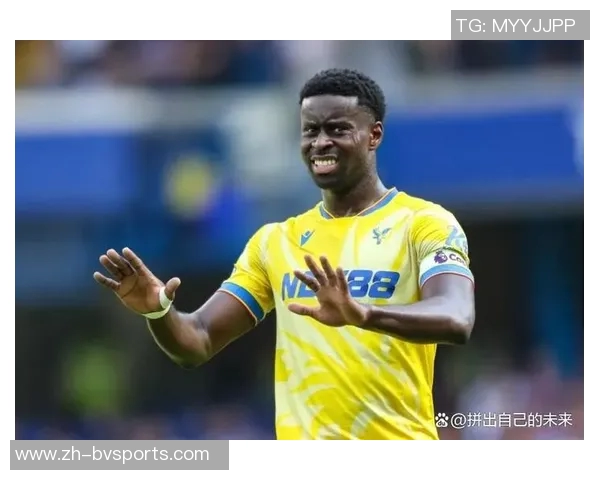 格伊谈水晶宫效力经历强调专业态度是对俱乐部的尊重